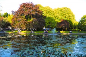Fitzgerald Park en Cork