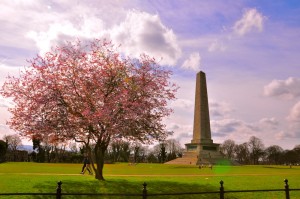 El Phoenix Park