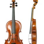 fiddle