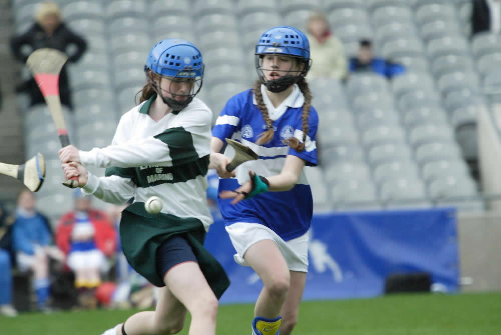 3.Camogie