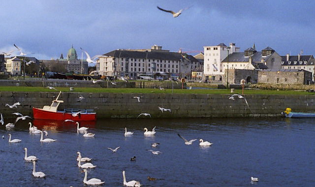 3.Galway
