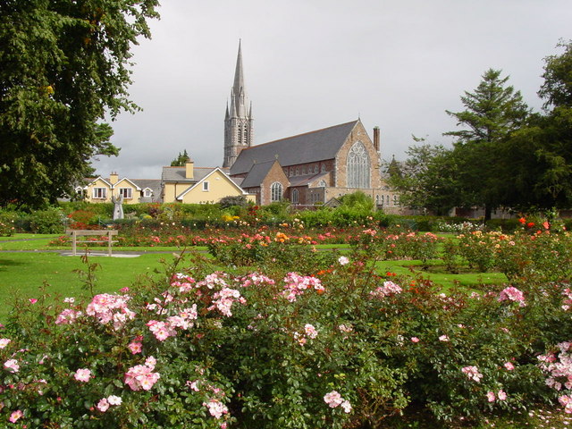 La Rosa de Tralee