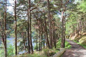 Glendalough
